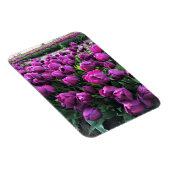 Lila Prince Tulips Magnet (Rechte Seite)