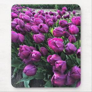 Lila Prince Tulips Mousepad