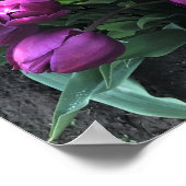 Lila Prince Tulips Poster (Ecke)