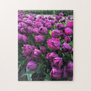 Lila Prince Tulips Puzzle