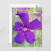 Lila Princess-Blume - Postkarte für Schneckenpost (Vorne/Hinten)