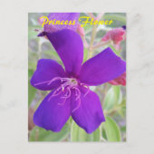 Lila Princess-Blume - Postkarte für Schneckenpost (Vorderseite)