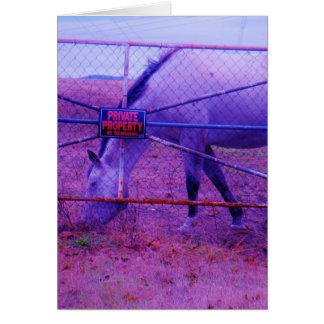 Lila Privateigentum - Pferd