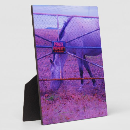 Lila Privateigentum - Pferd Fotoplatte (Seite)