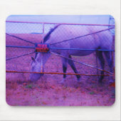 Lila Privateigentum - Pferd Mousepad (Vorne)