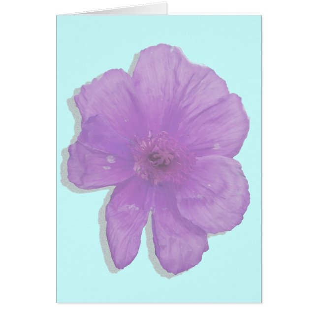 Lila Punch/PopArt-Blume (Vorne)