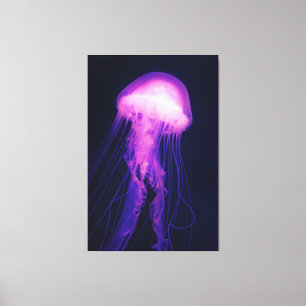 Lila Quallen und Blauer Ozean - Canvas drucken Leinwanddruck
