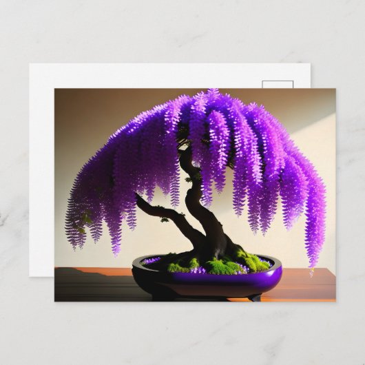 Lila Rain Wisteria Bonsai, Postüberquerung Postkarte (Vorne/Hinten)
