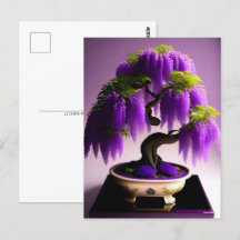 Lila Rain Wisteria Bonsai, Postüberquerung