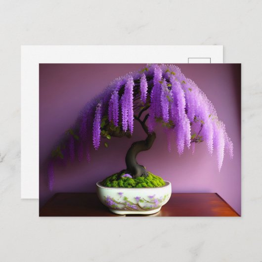 Lila Rain Wisteria Bonsai, Postüberquerung Postkarte (Vorne/Hinten)