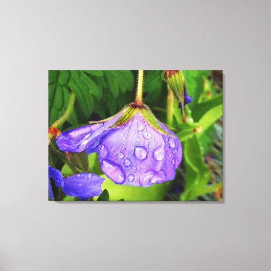 Lila Raindrops Leinwanddruck (Vorderseite)