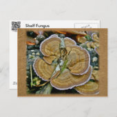 Lila Randlage Fungus Coordinated Items Postkarte (Vorne/Hinten)