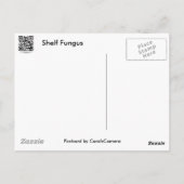 Lila Randlage Fungus Coordinated Items Postkarte (Rückseite)