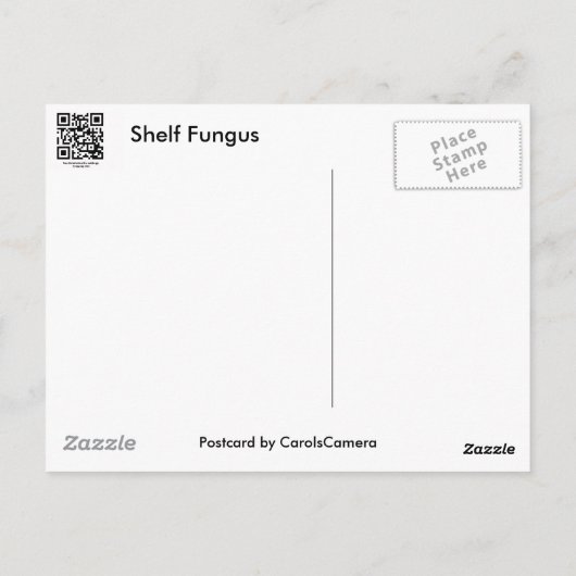 Lila Randlage Fungus Coordinated Items Postkarte (Rückseite)