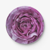 Lila Ranunculus Pappteller (Vorderseite)