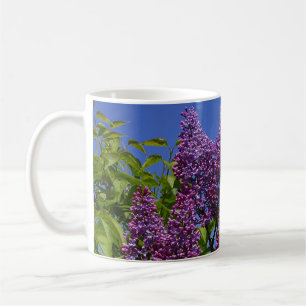 Lila, reales lila Bild, blauer Himmel, violette Bl Kaffeetasse