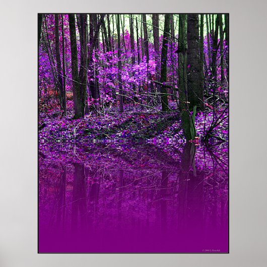 Lila Reflection Poster (Vorne)