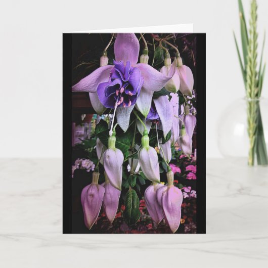 Lila Regen Karte (Vorderseite)