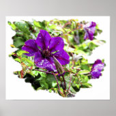 Lila Regen Poster (Vorne)