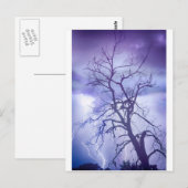 Lila Regen Postkarte (Vorne/Hinten)