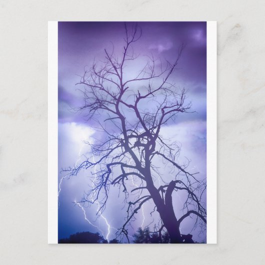 Lila Regen Postkarte (Vorderseite)