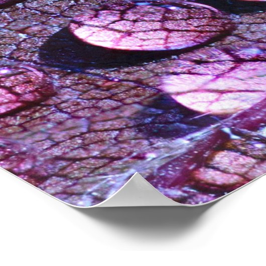 Lila Regenplakat Poster (Ecke)