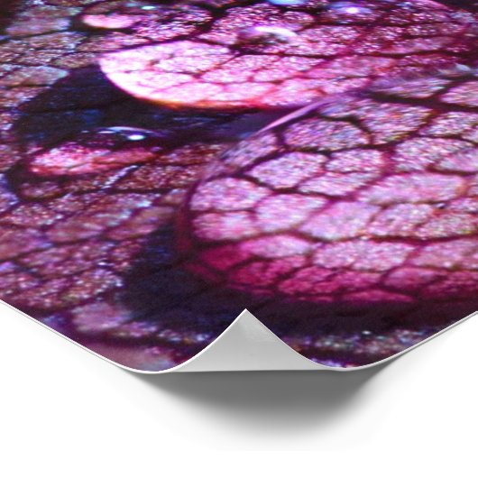 Lila Regenplakat Poster (Ecke)