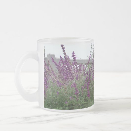 Lila Reihe Mattglastasse (Links)