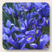 Lila Reticulated Irises Floral Getränkeuntersetzer (Vorderseite)