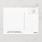 Lila Rezept Nurple Martini Postkarte (Rückseite)