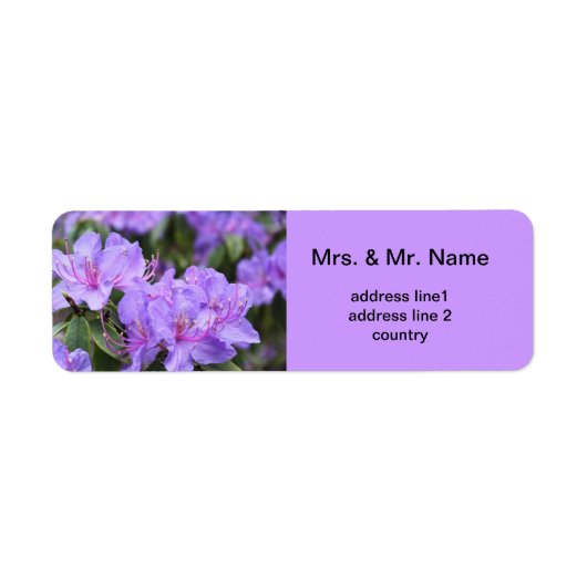lila Rhododendron-Blume (Vorne)