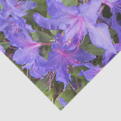 Lila Rhododendron Blume Seidenpapier (Ausschnitt)