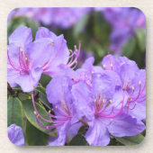 lila Rhododendron-Blume Untersetzer (Vorderseite)