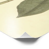 Lila Rhododendron-Illustration Fotodruck (Ecke)