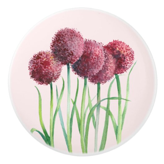 Lila Rosa Allium Blume Aquarellbilder Keramikknauf (Vorderseite)