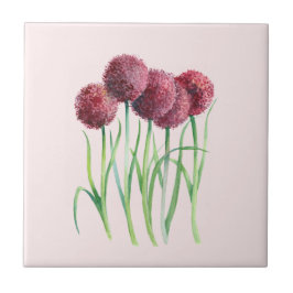 Lila Rosa Allium Watercolor Botanische Malerei Fliese