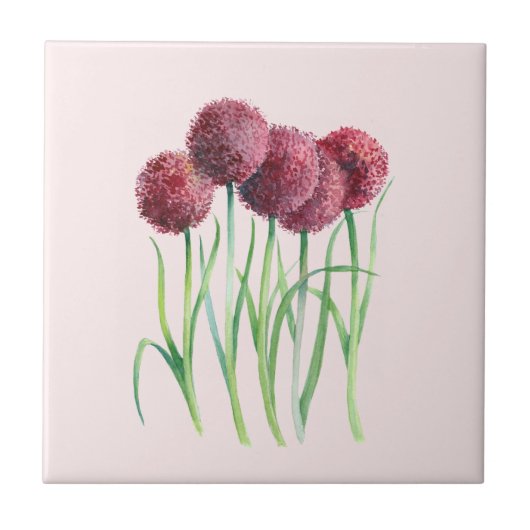 Lila Rosa Allium Watercolor Botanische Malerei Fliese (Vorderseite)