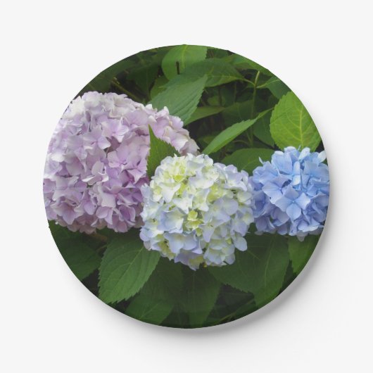 Lila rosa Blume elegante Hydrangeas Pappteller (Vorderseite)