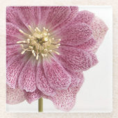 Lila rosa Blume Glass Untersetzer (Vorderseite)