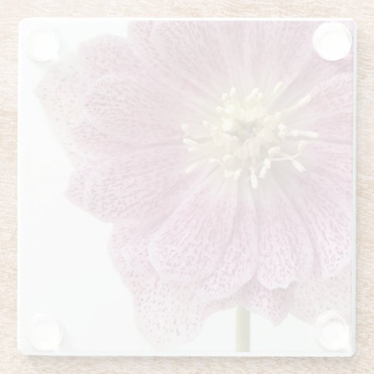 Lila rosa Blume Glass Untersetzer (Rückseite)