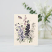 Lila, Rosa-Garten-Blume, Schmetterling Postkarte (Stehend Vorderseite)