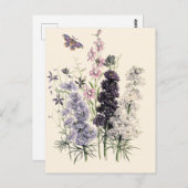 Lila, Rosa-Garten-Blume, Schmetterling Postkarte (Vorne/Hinten)