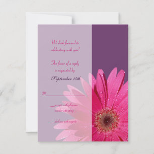 Lila & rosa Gerbera Daisy Wedding Repcard RSVP Karte