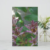 Lila, rosa gestreifte Orchidee wie Blume Briefpapier (Stehend Vorderseite)