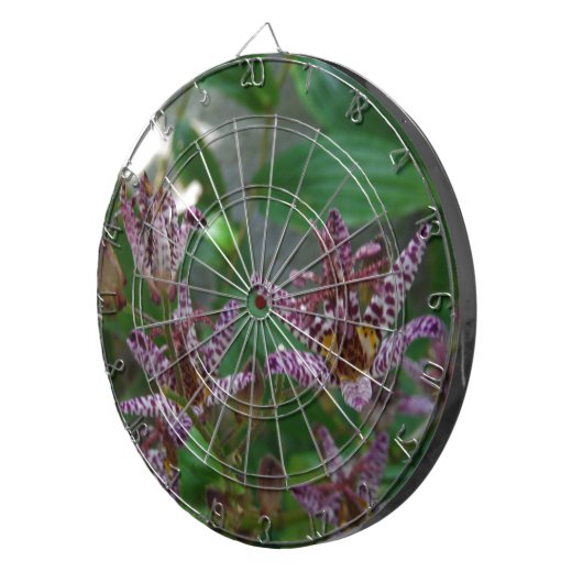 Lila, rosa gestreifte Orchidee wie Blume Dartscheibe (Vorderseite rechts)