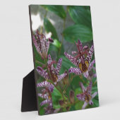 Lila, rosa gestreifte Orchidee wie Blume Fotoplatte (Seite)