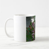 Lila, rosa gestreifte Orchidee wie Blume Kaffeetasse (Links)