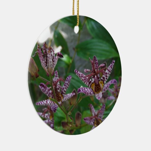 Lila, rosa gestreifte Orchidee wie Blume Keramik Ornament (Rechts)