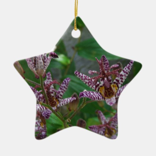 Lila, rosa gestreifte Orchidee wie Blume Keramikornament (Vorne)