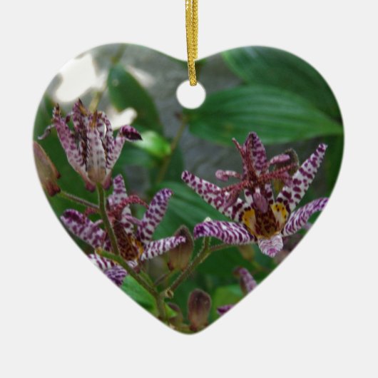 Lila, rosa gestreifte Orchidee wie Blume Keramikornament (Vorne)